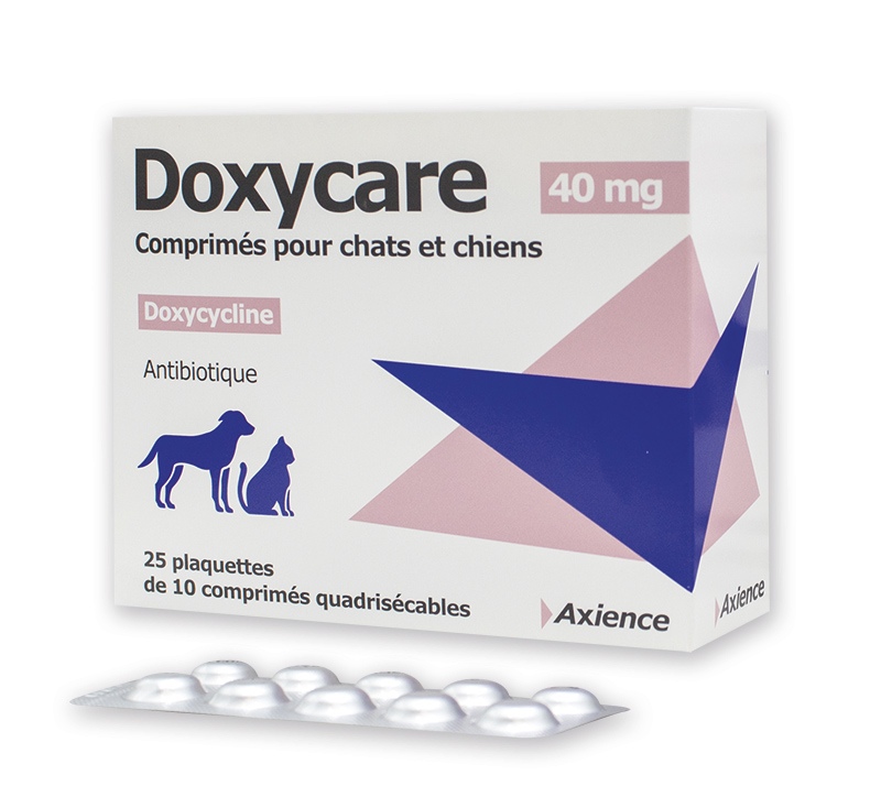 Doxycare 40 mg